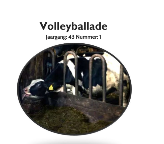 Volleyballade is nu beschikbaar!