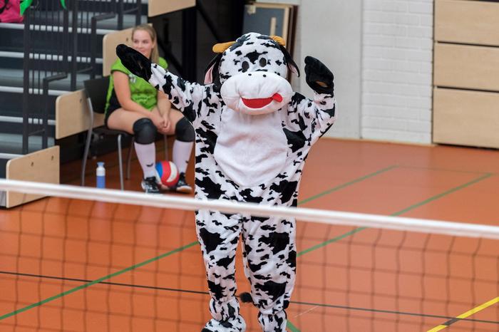 Beleef Veracles vanuit het oogpunt van een student